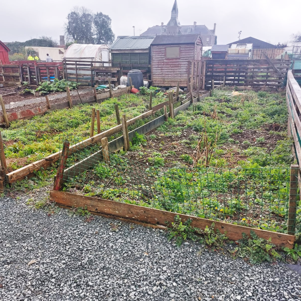 New Ross New Directions Allotment