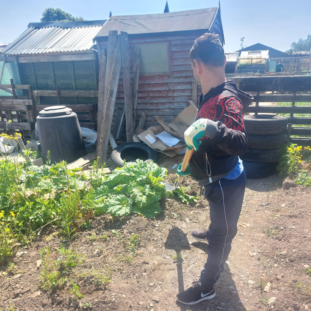 working-in-the-allotment-v02 A Service User in the New Directions New Ross Garden